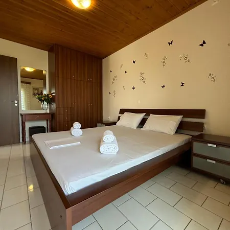 -tsiakos Apartment- In Vryses 아파트 *