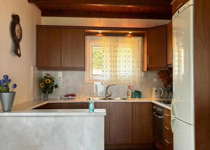 公寓 -tsiakos Apartment- In Vryses 基帕里夏